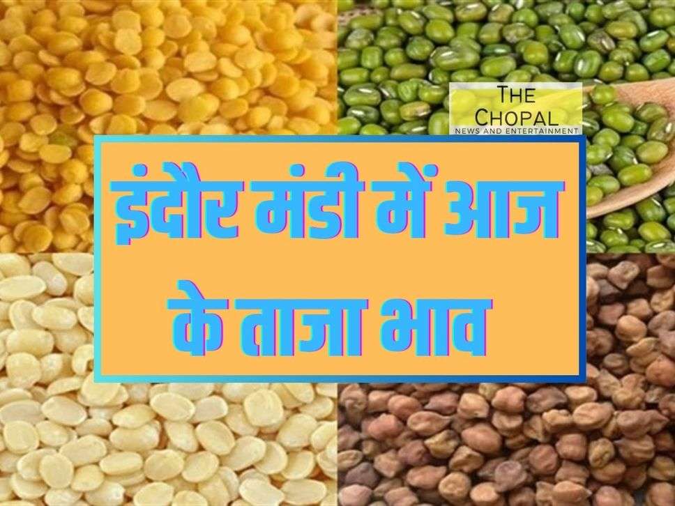 Indore Mandi Bhav: Rise in the price of gram, rise in wheat and flour also, know the latest mandi price