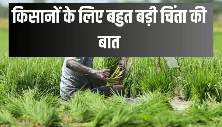 किसानों के लिए बहुत बड़ी चिंता की बात