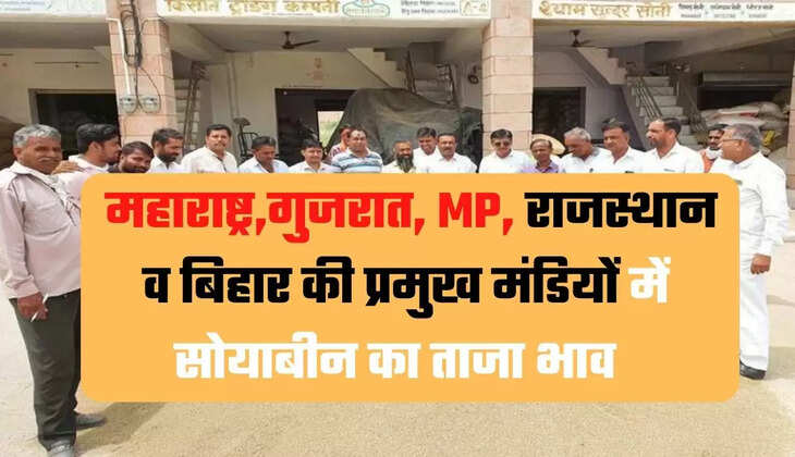  सोयाबीन का ताजा भाव  