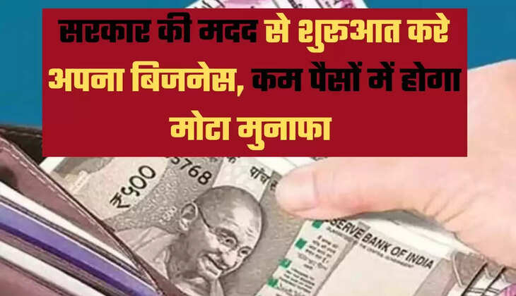 सरकार की मदद से शुरूआत करे अपना बिजनेस, कम पैसों में होगा मोटा मुनाफा  