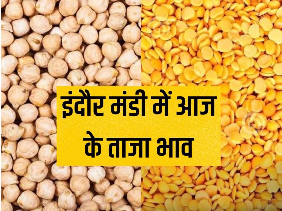 Indore Mandi Bhav: Today the prices of moong fell, Kabuli gram rose, know the latest price.
