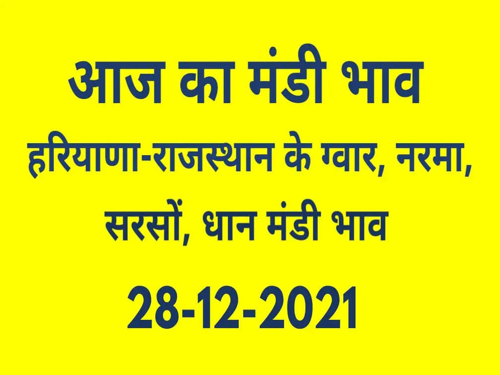 Nohar Adampur Mandi Bhav 28 December 2021