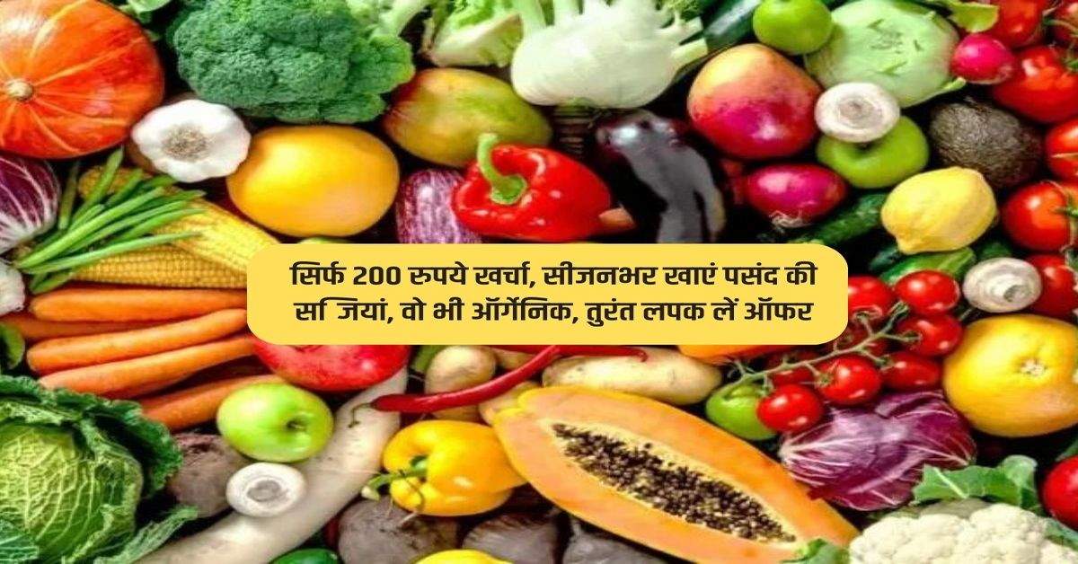 सिर्फ 200 रुपये खर्चा, सीजनभर खाएं पसंद की सब्जियां, वो भी ऑर्गेनिक, तुरंत लपक लें ऑफर