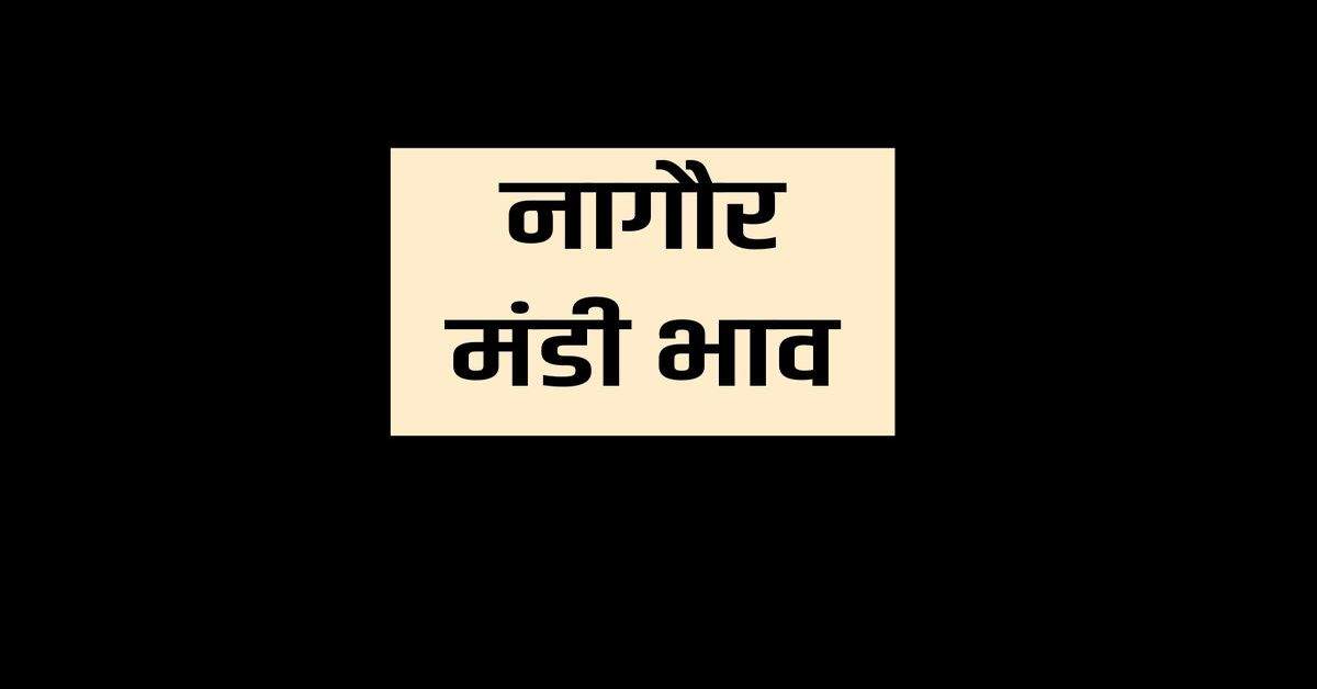 नागौर मंडी भाव 11 फरवरी 2024 मोठ, जीरा, मेथी, सौफ, तिल, सरसों, ज्वार, ईसबगोल, ग्वार, मुंग