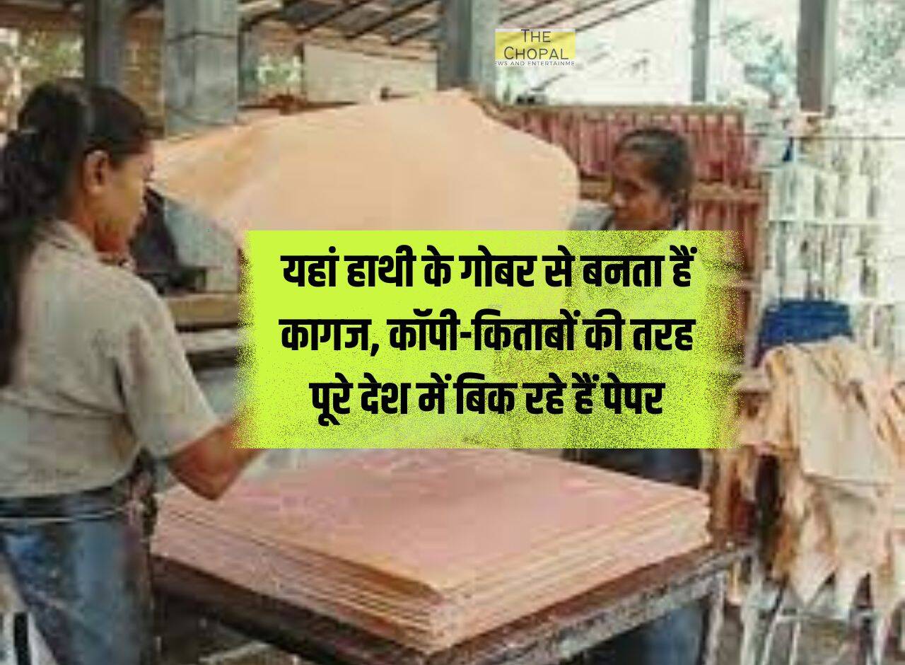 यहां हाथी के गोबर से बनता हैं कागज, कॉपी-किताबों की तरह पूरे देश में बिक रहे हैं पेपर
