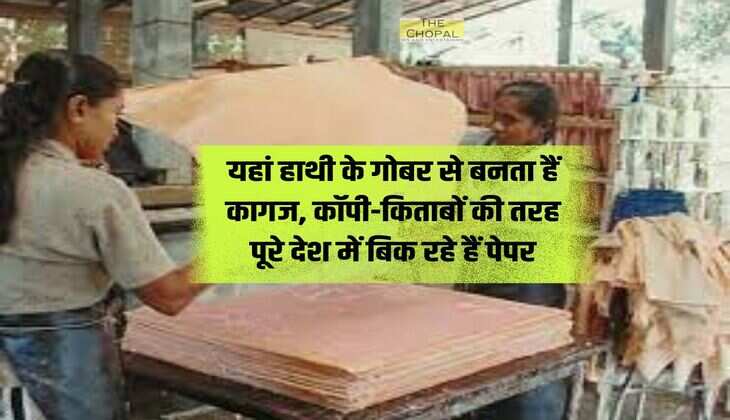 यहां हाथी के गोबर से बनता हैं कागज, कॉपी-किताबों की तरह पूरे देश में बिक रहे हैं पेपर
