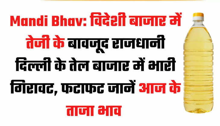 Fall in oil-oilseed prices, oil-oilseed market, Delhi oil-oilseed market edible oil, know the new rate of edible oil, agriculture news, agriculture news Hindi, तेल-तिलहन कीमतों में गिरावट, तेल-तिलहन बाजार, दिल्ली तेल-तिलहन बाजार खाद्य तेल, जाने खाद्य तेल का नया रेट, कृषि न्यूज, कृषि न्यूज हिन्दी