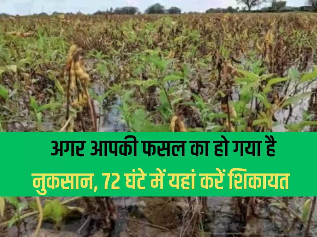 If your crop is damaged, complain here within 72 hours