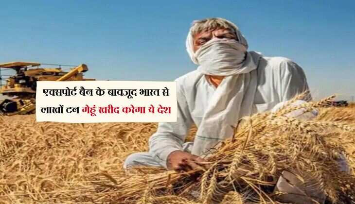 Wheat Export: एक्सपोर्ट बैन के बावजूद भारत से लाखों टन गेहूं खरीद करेगा ये देश