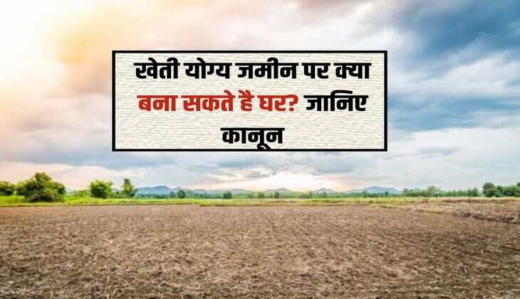 Agricultural land : खेती योग्य जमीन पर क्या बना सकते है घर? जानिए कानून 