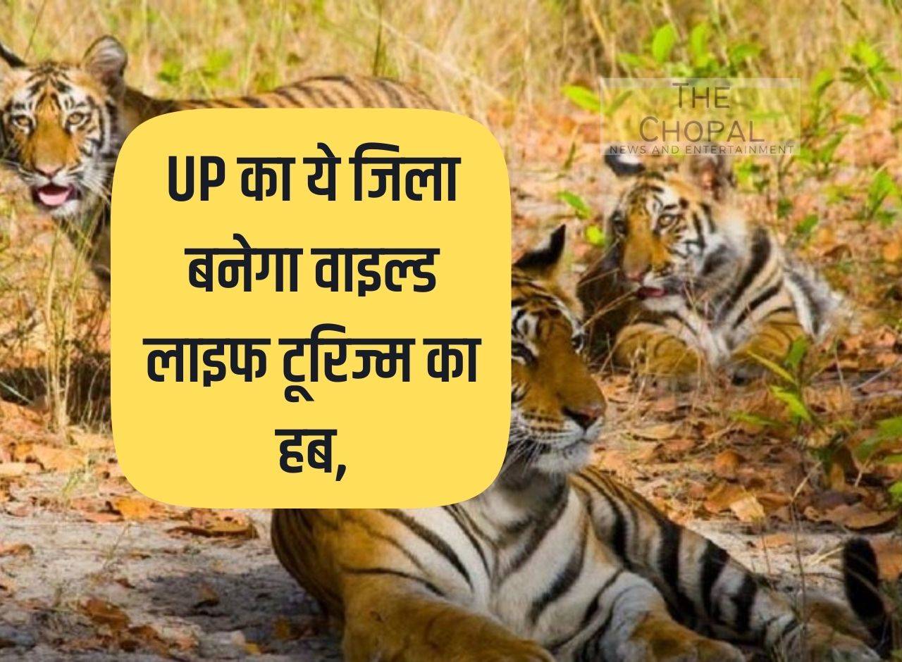 This district of UP will become the hub of wildlife tourism
