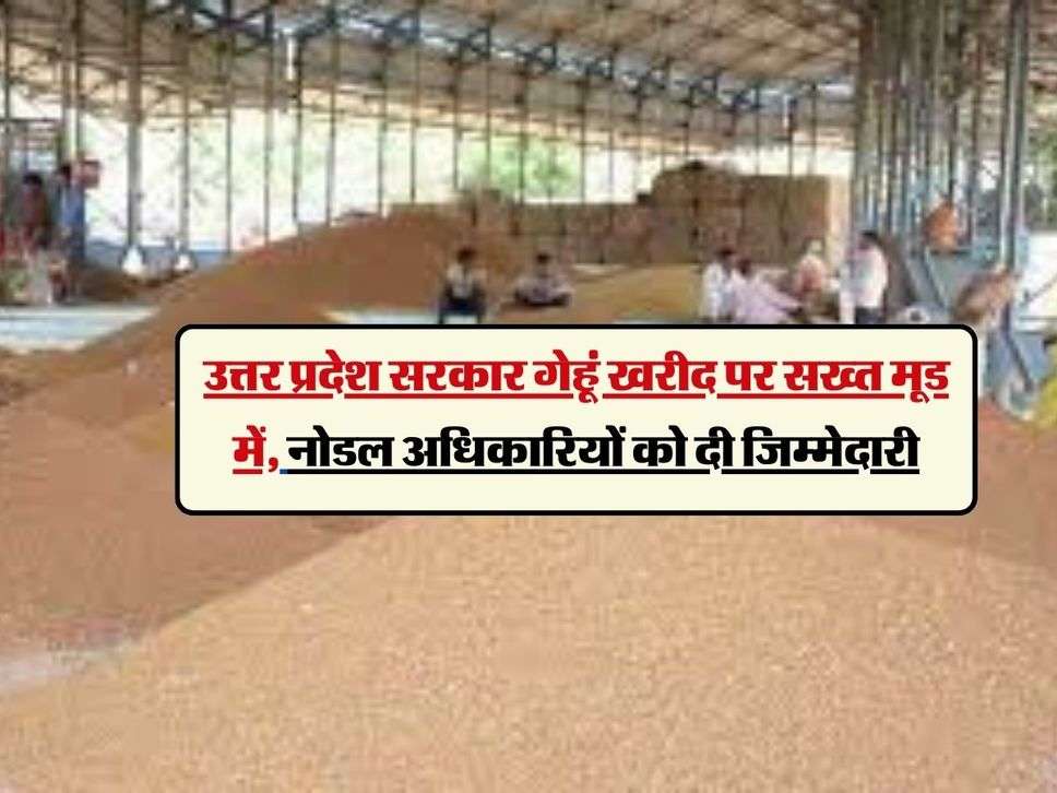 UP News : उत्तर प्रदेश सरकार गेहूं खरीद पर सख्त मूड में, नोडल अधिकारियों को दी जिम्मेदारी