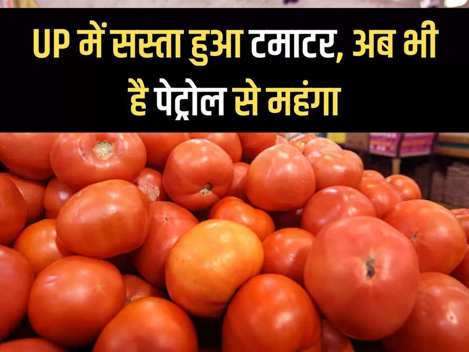 Tomato became cheaper in UP, still costlier than petrol