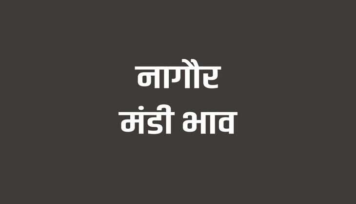 नागौर मंडी भाव 23 मार्च 2024 : कपास, सरसों, मोठ, चना, जीरा, मूंगफली, गेहूं, जौ, ज्वार समेत कृषि फसलों के रेट