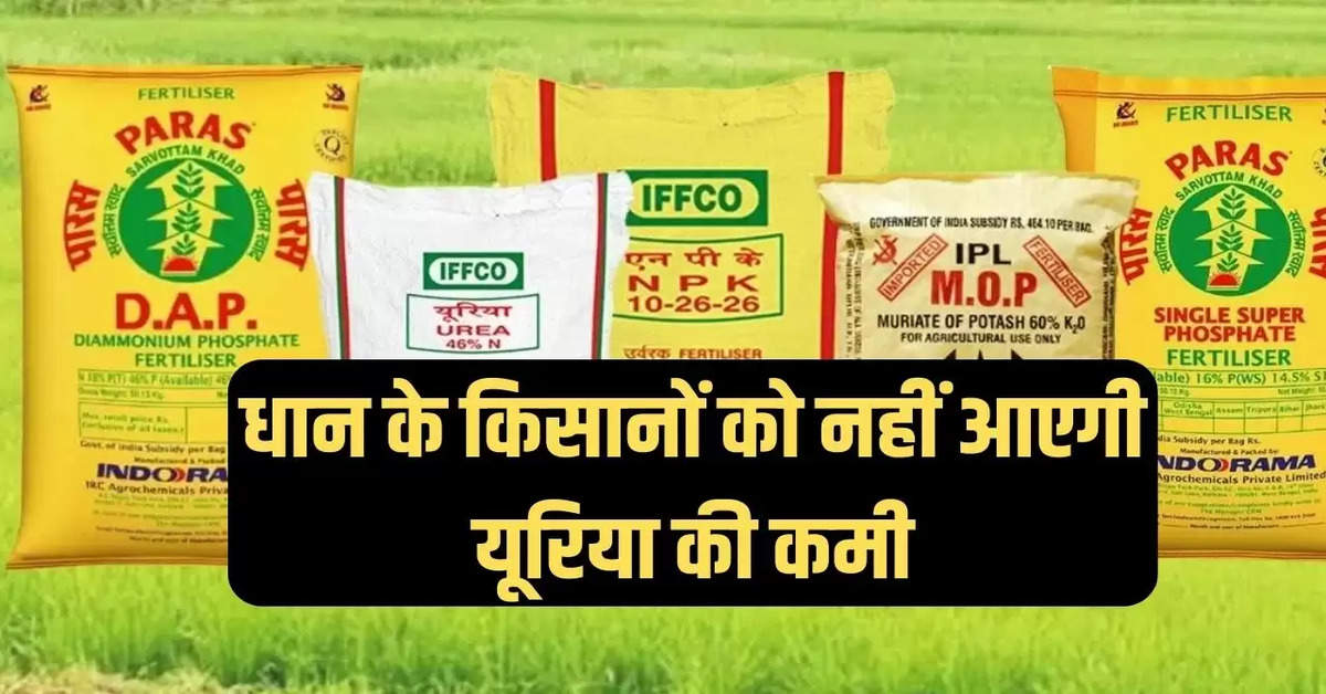 "Fertilizer shortage, there will be no shortage of fertilizers in UP, there will be no shortage of fertilizers in Moradabad, Kharif crop, black marketing of fertilizers, Agriculture News, Agriculture News Hindi, खाद की किल्लत, यूपी में नहीं होगी खाद की किल्लत, मुरादाबाद में नहीं होगी खाद की कमी, खरीफ फसल, खाद की कालाबाजारी, कृषि न्यूज, कृषि न्यूज हिन्दी"