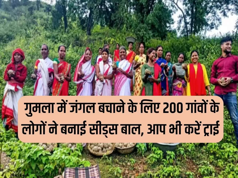 To save the forest in Gumla, people of 200 villages made seeds ball, you should also try.
