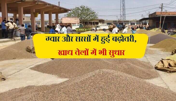 Jaipur Mandi Bhav: ग्वार और सरसों में हुई बढ़ोतरी, खाद्य तेलों में भी सुधार