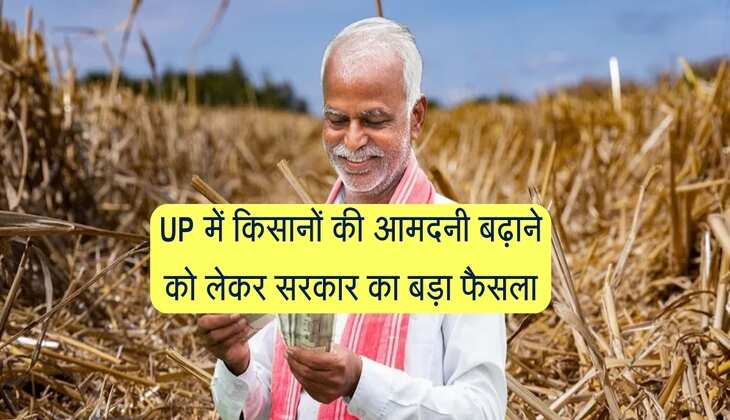 UP में किसानों की आमदनी बढ़ाने को लेकर सरकार का बड़ा फैसला, इस खेती से मिलेगा मुनाफा
