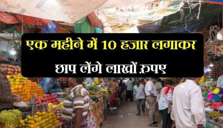 Business Idea: एक महीने में 10 हजार लगाकर छाप लेंगे लाखों रुपए, छप्परफाड़ कमाई देगा ये बिजनेस 