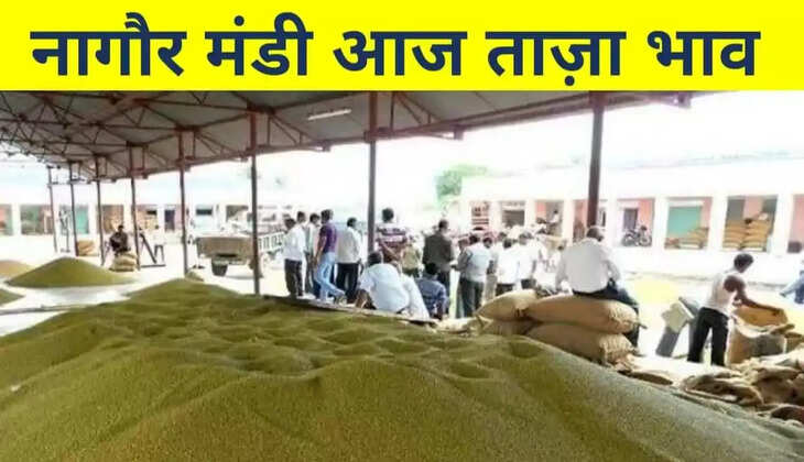 Nagaur Mandi Bhav 23 December 2021