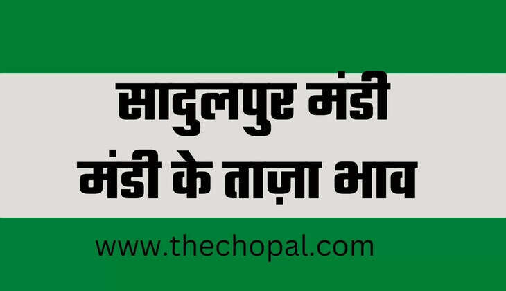 सादुलपुर मंडी