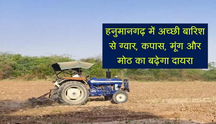 हनुमानगढ़ में अच्छी बारिश से ग्वार, कपास, मूंग और मोठ का बढ़ेगा दायरा, बंपर होगी बुवाई