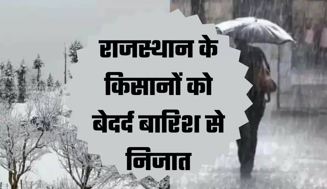 राजस्थान के किसानों को बेदर्द बारिश से निजात