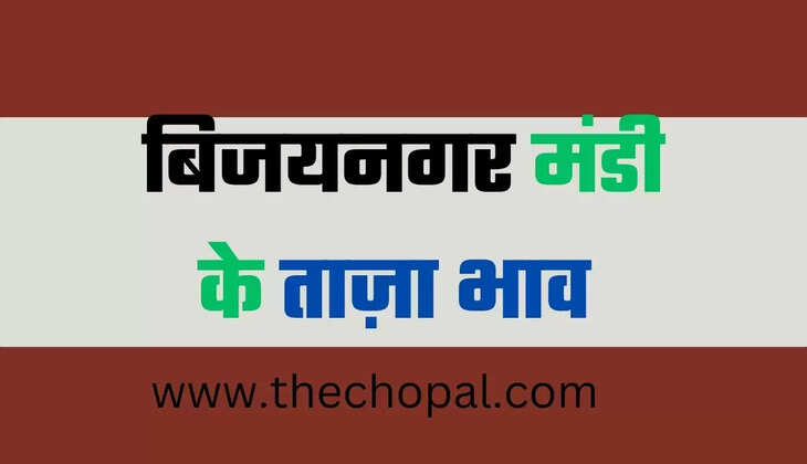 बिजयनगर मंडी भाव 