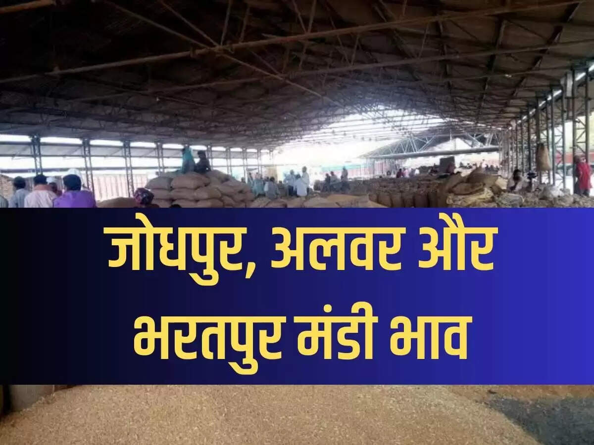 Rajasthan Mandi bhav