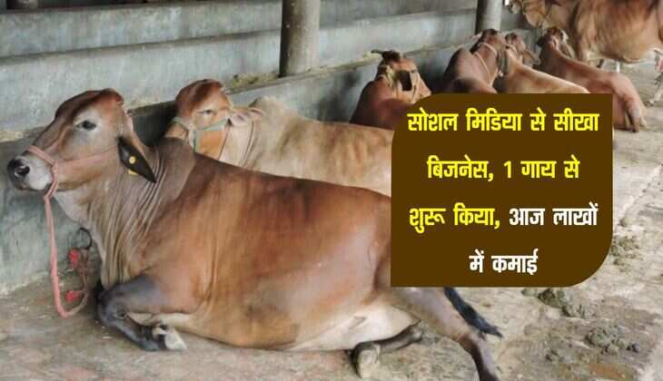 Business Idea: सोशल मिडिया से सीखा बिजनेस, 1 गाय से शुरू किया, आज लाखों में कमाई