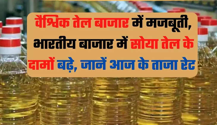 Edible Oil Price in Indore, Cooking Oil Rate Indore, Cooking Oil price Indore, Moongfali Oil Price Indore, Oil Rates in Indore, Soybean Oil Price Indore, Soybean Oil, Palm Oil rate, Mustard Oil in Indore, Sarso Oil Price Indore, Groundnut oil Price Indore, Cooking Oil Price in Indore, Edible oil price Indore, Indore Market Oil Price, Indore News, इंदौर में तेज की कीमत, इंदौर में खाने के तेल की कीमत, इंदौर समाचार, मध्य प्रदेश समाचार,indore, madhya-pradesh, hindi news,x