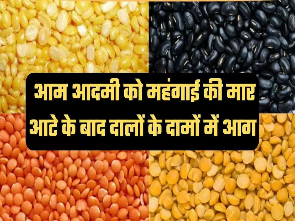 Pulses price, pulses supply in India, pulses price up, pulse price news, inflation, business news, business news in hindi, दालों की कीमत में वृद्धि, दाल की दाम में बढ़ोतरी, दाल के दाम बढ़े, दाल के दाम न्यूज़, बिजनेस न्यूज़, महंगाई, खाद्यान्न, बिजनेस न्यूज़ इन हिंदी