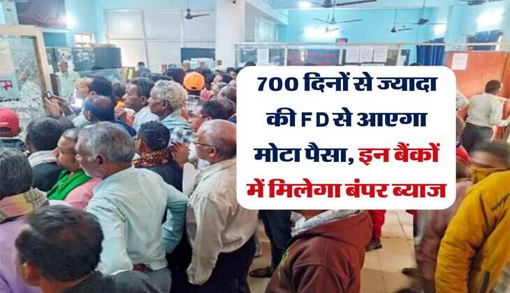 700 दिनों से ज्यादा की FD से आएगा मोटा पैसा, इन बैंकों में मिलेगा बंपर ब्याज