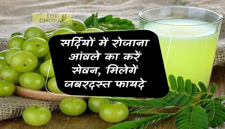Amla in winter: Consume Amla daily in winter, you will get tremendous benefits.