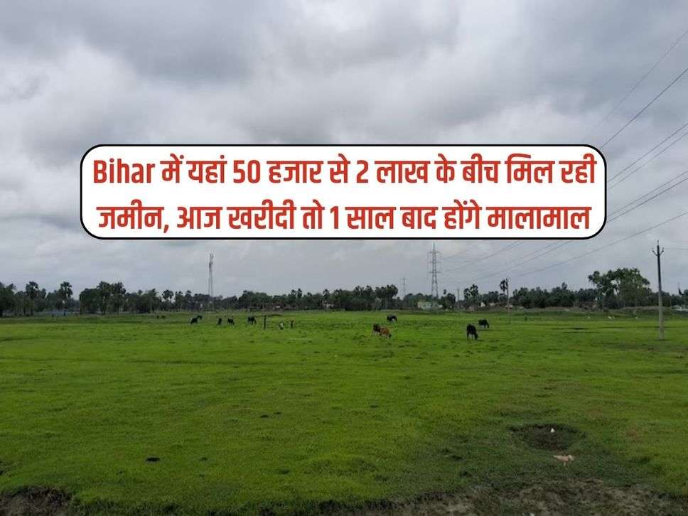 Bihar में यहां 50 हजार से 2 लाख के बीच मिल रही जमीन, आज खरीदी तो 1 साल बाद होंगे मालामाल