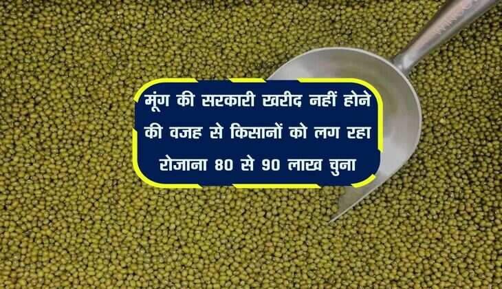मूंग की सरकारी खरीद नहीं होने की वजह से किसानों को लग रहा रोजाना 80 से 90 लाख चुना, 1500 रुपए प्रति क्विंटल हो रहा घाटा