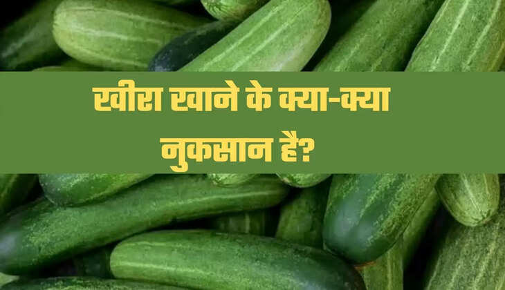 Cucumber in summers