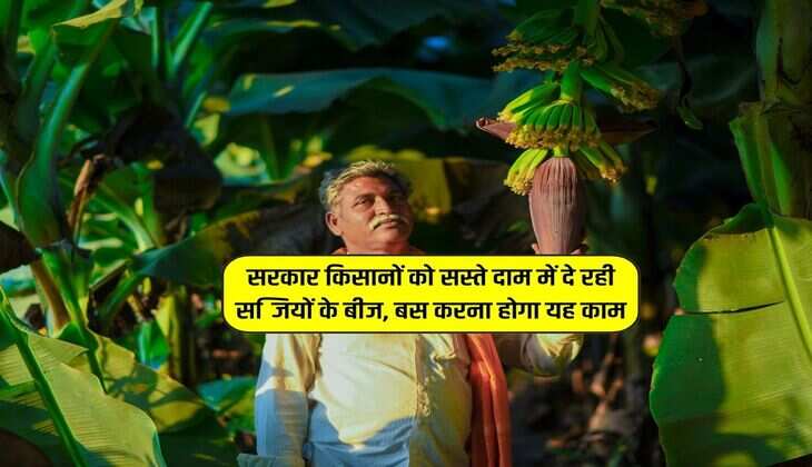 सरकार किसानों को सस्ते दाम में दे रही सब्जियों के बीज, बस करना होगा यह काम