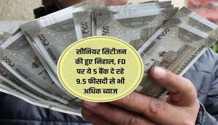 Senior Citizen : सीनियर सिटीजन की हुए निहाल, FD पर ये 5 बैंक दे रहे 9.5 फीसदी से भी अधिक ब्याज