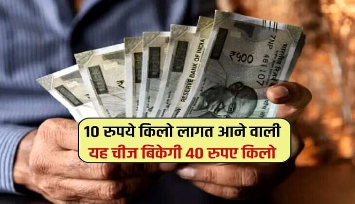 Business Idea : 10 रुपये किलो लागत आने वाली यह चीज बिकेगी 40 रुपए किलो, इस तरह शुरू करें बिजनेस 