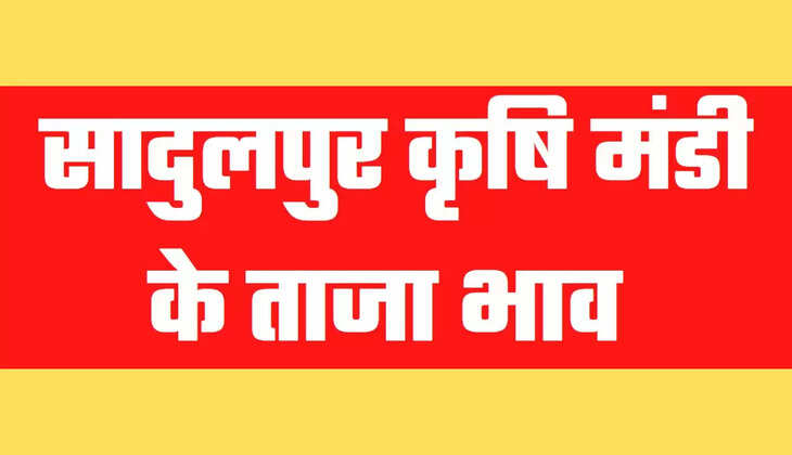 सादुलपुर 