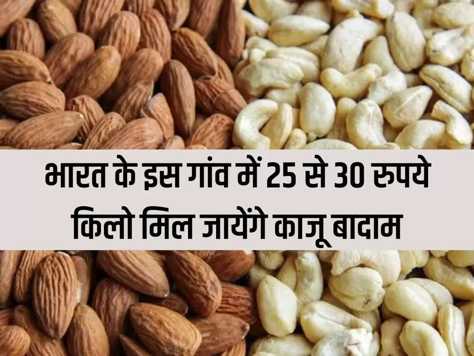 Cashew almonds will be available for Rs 25 to 30 per kg in this village of India