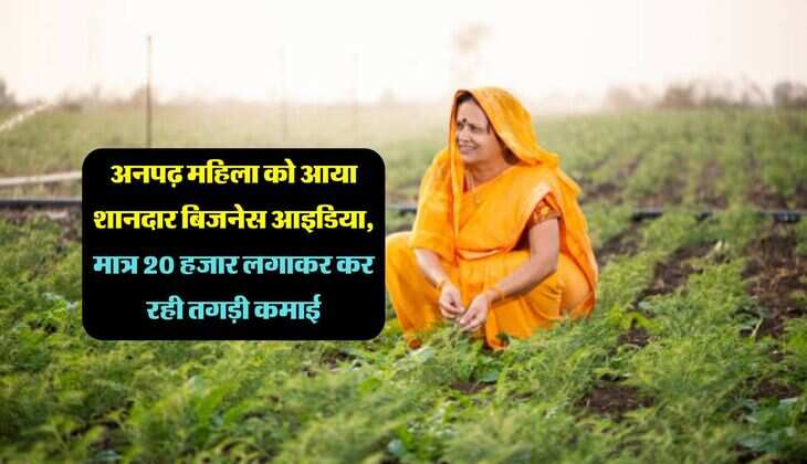 Business Idea: अनपढ़ महिला को आया शानदार बिजनेस आइडिया, मात्र 20 हजार लगाकर कर रही तगड़ी कमाई