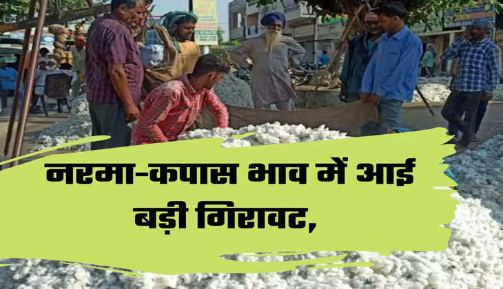 Cotton news Mandi bhav