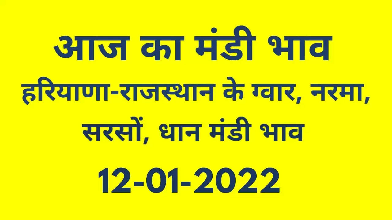 Nohar Adampur Mandi Bhav 12 January 2022