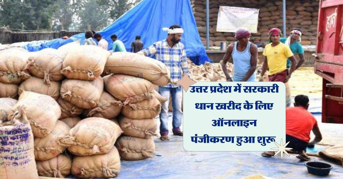 Paddy Procurement : उत्तर प्रदेश सरकार ने MSP पर धान खरीदने के लिए तैयारियां शुरू कर दी है। खरीफ सीजन 2024 25 के तहत किसानों का पंजीकरण करना शुरू कर दिया गया है। जो किसान अपनी फसल न्यूनतम समर्थन मूल्य और बेचना चाहते हैं उन्हें सबसे पहले ऑनलाइन रजिस्ट्रेशन करवाना होगा। ऑनलाइन रजिस्ट्रेशन होने के बाद सरकार को धान बेचने पर किसानों को पैसा उनके आधार कार्ड से लिंक बैंक खाते में दिया जायेगा। 