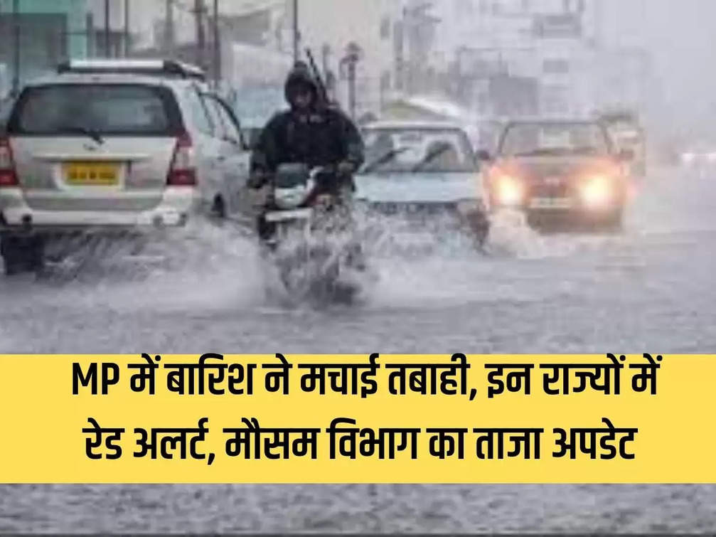 Rain caused havoc in MP, red alert in these states, latest update from meteorological department
