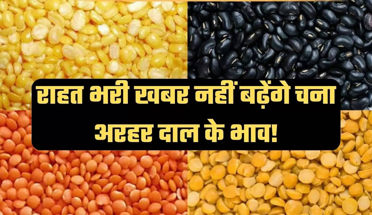 Pulses, Pulses price, Pulses import, tur dal, tur dal import, chana dal, chana dal price, arhar dal,arhar dal price, Pulses Price,Pulses Production in india, Pulses price in India, wheat, wheat production in india, inflation, Nafed, अरहर दाल, चना दाल, चना दाल रेट