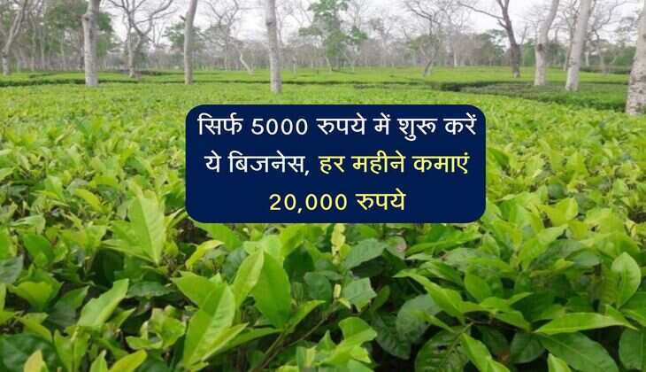 Business idea: सिर्फ 5000 रुपये में शुरू करें ये बिजनेस, हर महीने कमाएं 20,000 रुपये