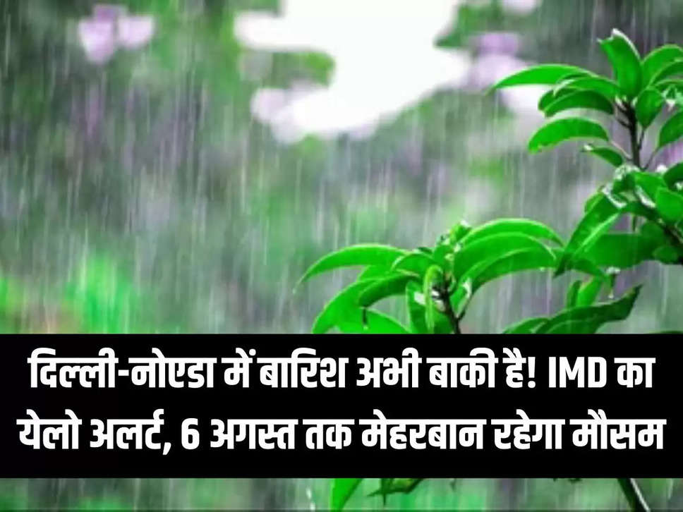 दिल्‍ली-नोएडा में बारिश अभी बाकी है! IMD का येलो अलर्ट, 6 अगस्त तक मेहरबान रहेगा मौसम